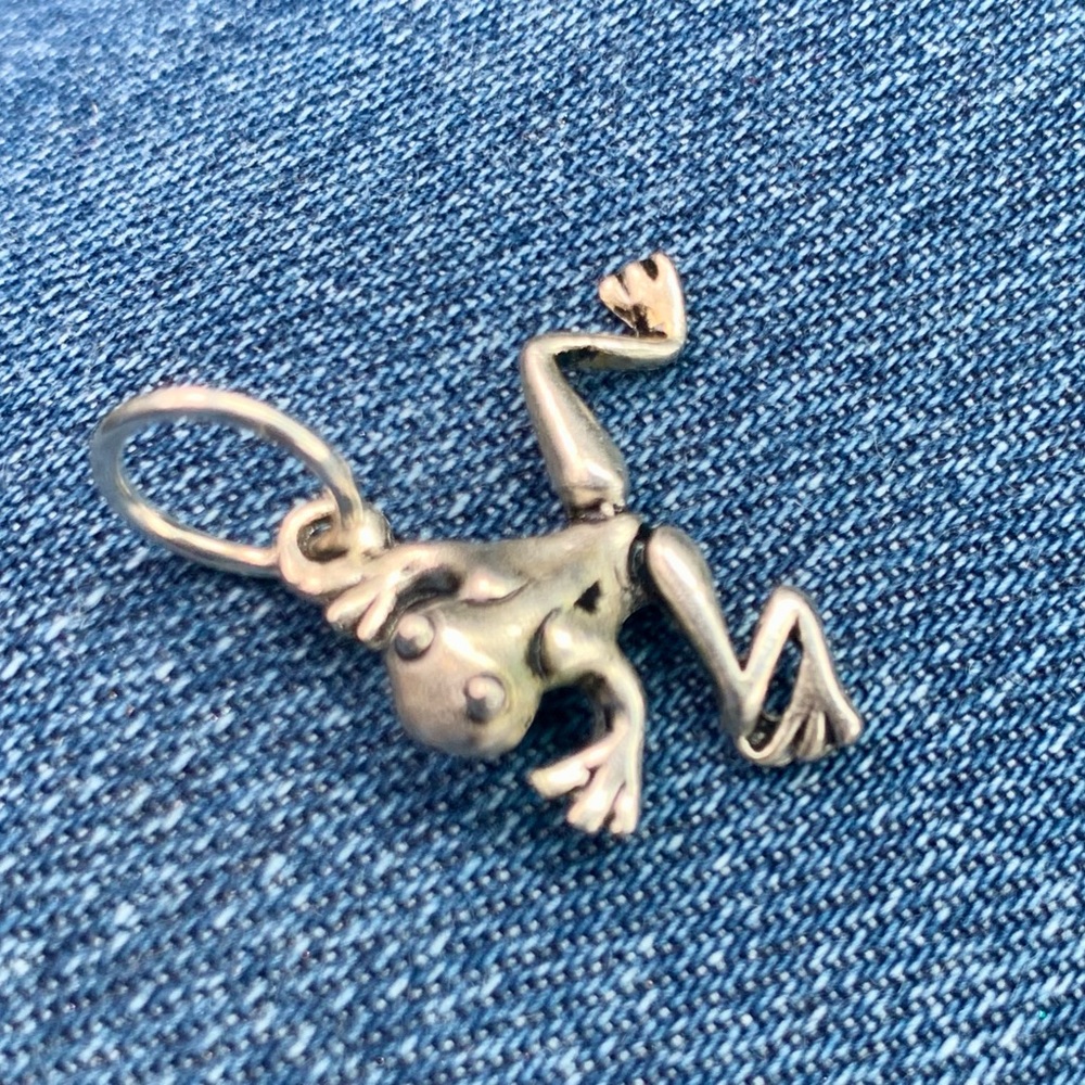 Frog Charm